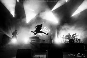 Bloody Beetroots @ Ecaussystème Festival 2017